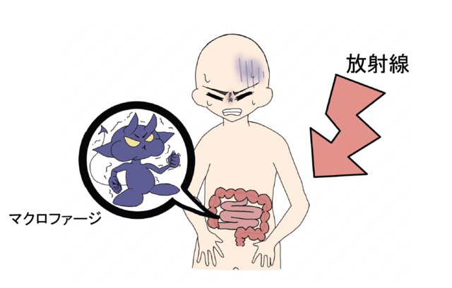 ____0826_.png
