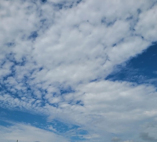 IMG_20210905_094459_561.jpg