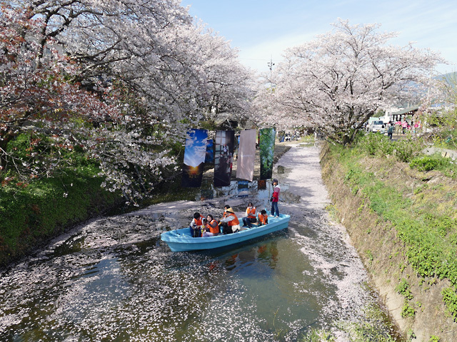 hanaikada.jpg