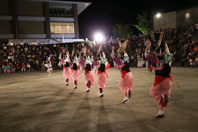 S_2588695.jpg