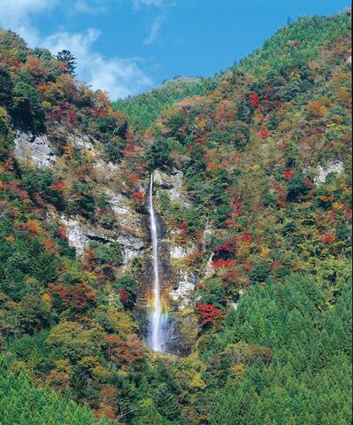 小金滝.jpg