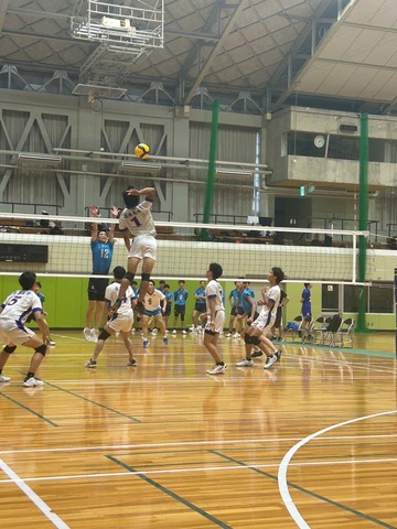 S_16408580_0.jpg