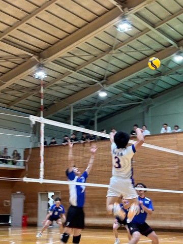 S_16465930_0.jpg