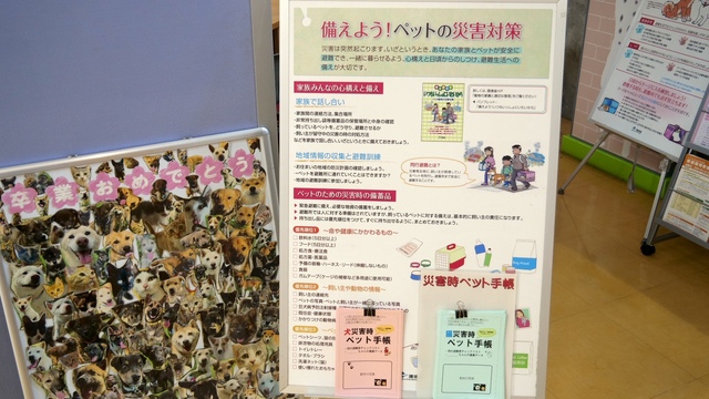 P1GH3281.JPG