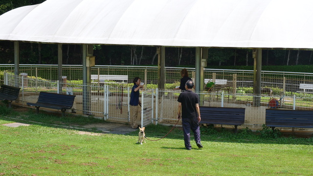 P1GH3231.JPG