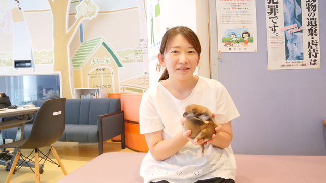 本日のタイムセール - ホットプレート / ホット 幼い犬猫を救うミルクボランティアを支援し不幸な命を減らしたい ハンドケア・ハンドクリーム