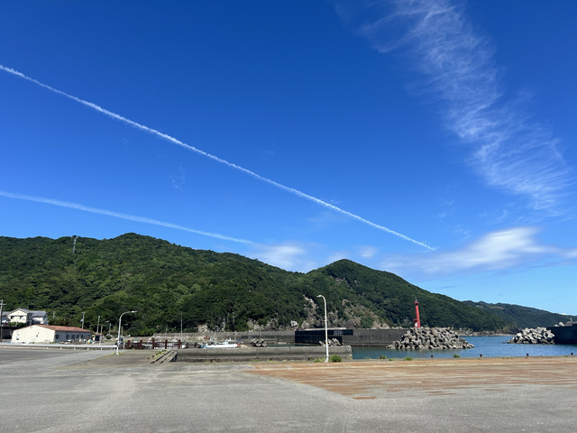 IMG_3900.png