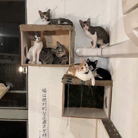 集合.JPG