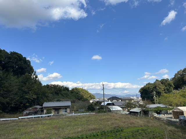 IMG_4111.png
