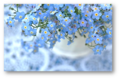 鈴木先生0512活動報告.png