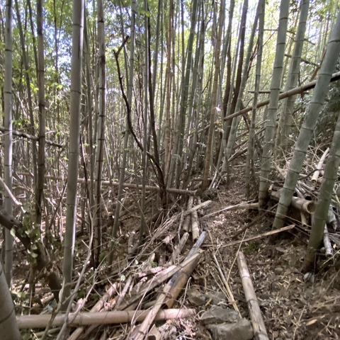 宮倉沢田179-31.JPG