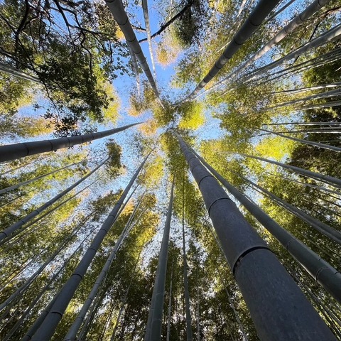 LINE_ALBUM_メンマ関係写真_250608_17.jpg